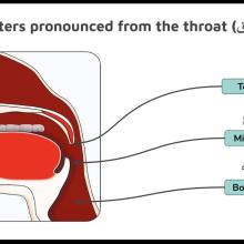 Throat articulation point